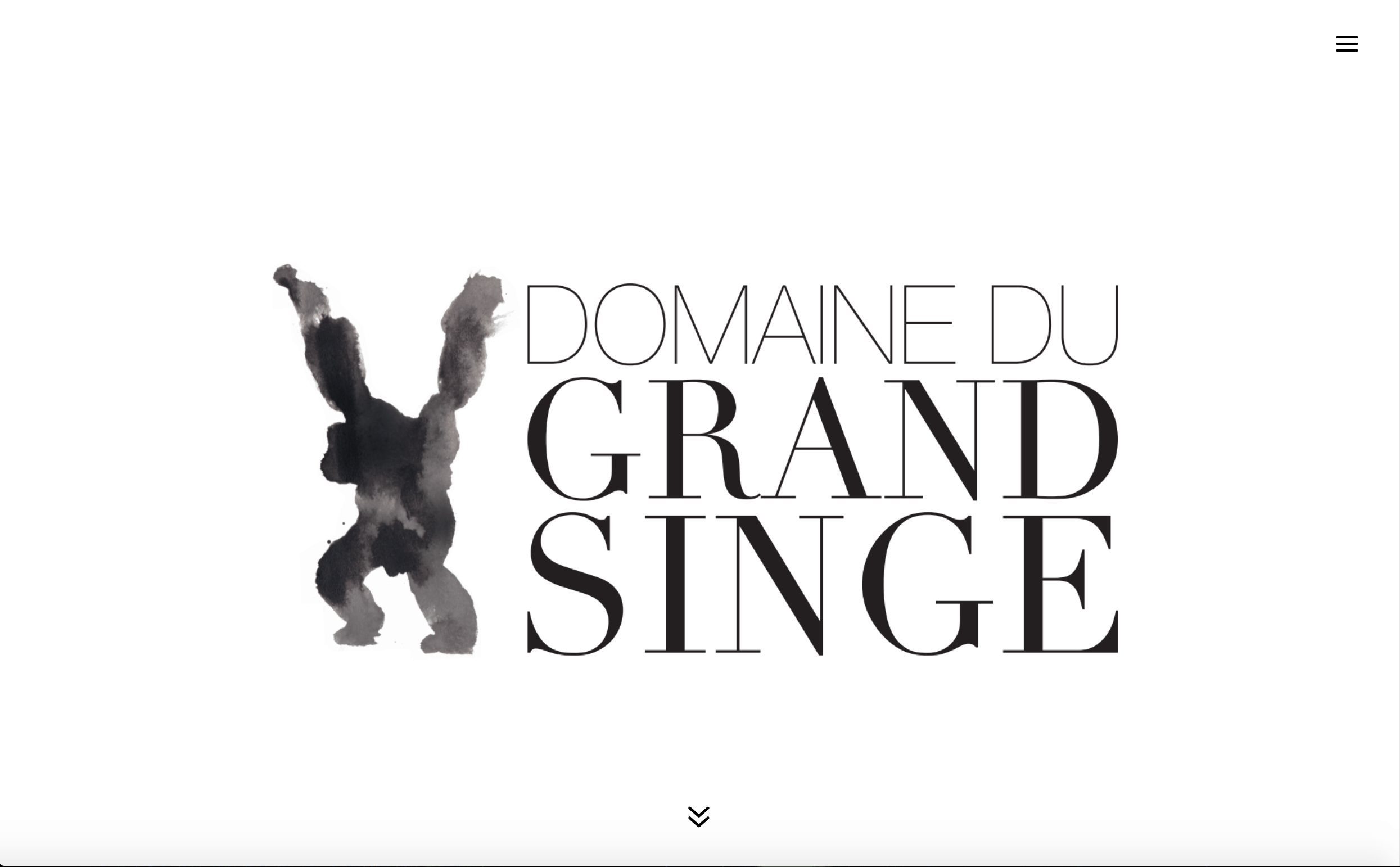Le Domaine du Grand Singe : Création de site web